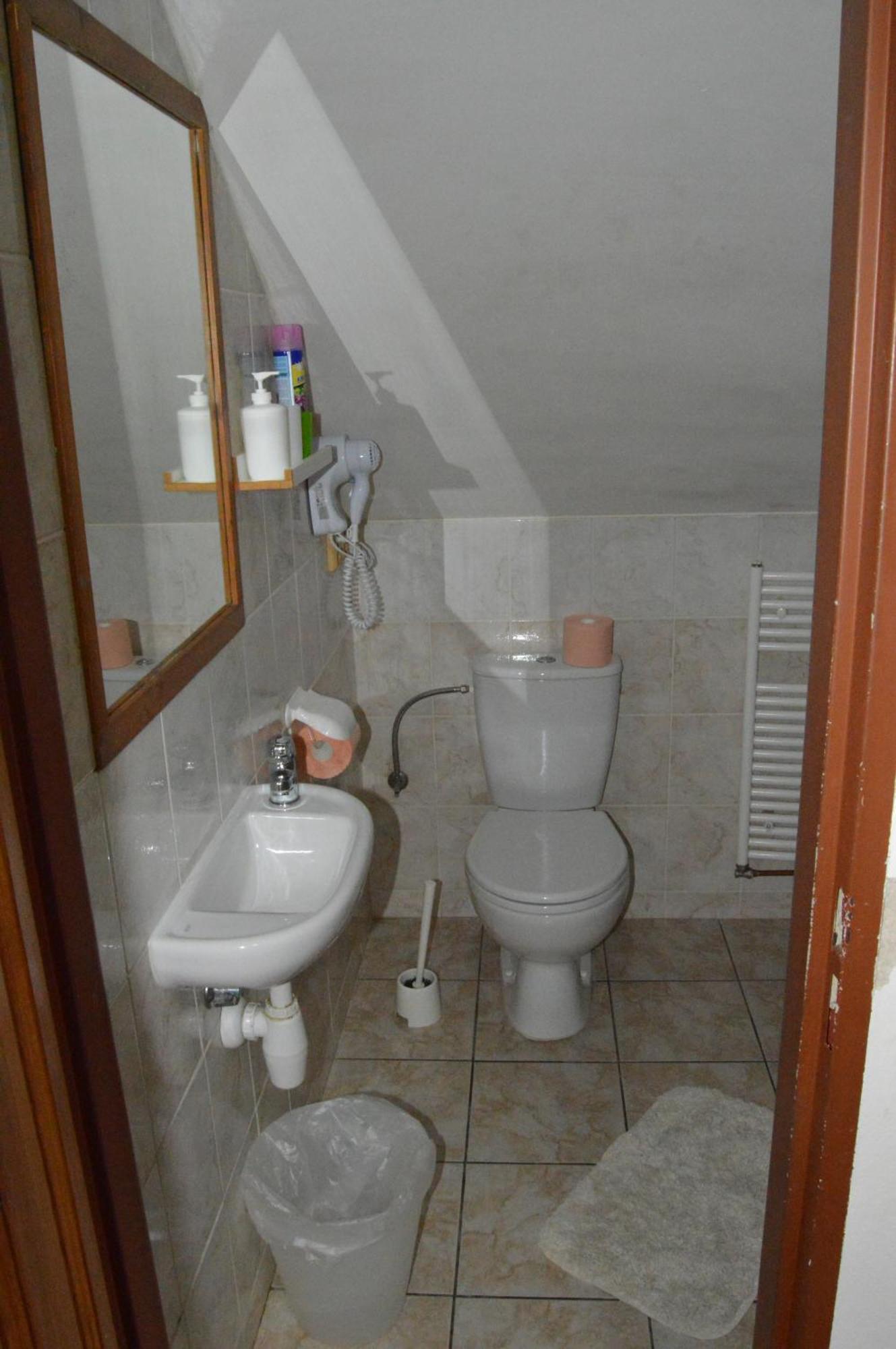 Restaurace A Penzion U Lva Karlštejn Dış mekan fotoğraf